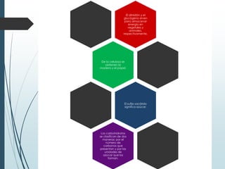 El almidón y el
glucógeno sirven
para almacenar
energía en
vegetales y
animales,
respectivamente.
De la celulosa se
obtienen la
madera y el papel.
El sufijo sacárido
significa azúcar.
Los carbohidratos
se clasifican de dos
maneras: por el
número de
carbonos que
presentan y por las
unidades de
azúcar que los
forman.
 