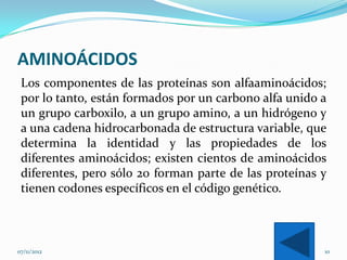 AMINOÁCIDOS
 Los componentes de las proteínas son alfaaminoácidos;
 por lo tanto, están formados por un carbono alfa unido a
 un grupo carboxilo, a un grupo amino, a un hidrógeno y
 a una cadena hidrocarbonada de estructura variable, que
 determina la identidad y las propiedades de los
 diferentes aminoácidos; existen cientos de aminoácidos
 diferentes, pero sólo 20 forman parte de las proteínas y
 tienen codones específicos en el código genético.



07/11/2012                                              10
 