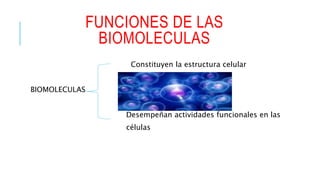 FUNCIONES DE LAS
BIOMOLECULAS
Constituyen la estructura celular
BIOMOLECULAS
Desempeñan actividades funcionales en las
cél...