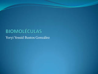Yoryi Yessid Bustos González
 