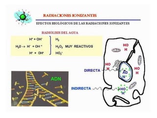 Biomoleculas 3