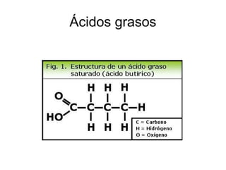 Ácidos grasos