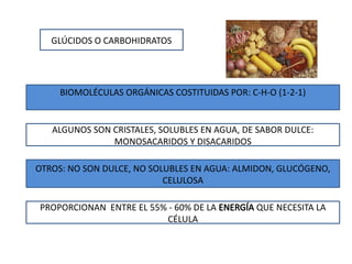 GLÚCIDOS O CARBOHIDRATOS
BIOMOLÉCULAS ORGÁNICAS COSTITUIDAS POR: C-H-O (1-2-1)
ALGUNOS SON CRISTALES, SOLUBLES EN AGUA, DE SABOR DULCE:
MONOSACARIDOS Y DISACARIDOS
OTROS: NO SON DULCE, NO SOLUBLES EN AGUA: ALMIDON, GLUCÓGENO,
CELULOSA
PROPORCIONAN ENTRE EL 55% - 60% DE LA ENERGÍA QUE NECESITA LA
CÉLULA
 