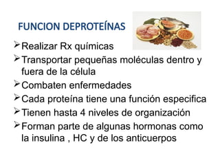 FUNCION DEPROTEÍNAS
Realizar Rx químicas
Transportar pequeñas moléculas dentro y
fuera de la célula
Combaten enfermedades
Cada proteína tiene una función especifica
Tienen hasta 4 niveles de organización
Forman parte de algunas hormonas como
la insulina , HC y de los anticuerpos
 