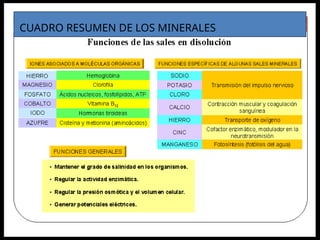 CUADRO RESUMEN DE LOS MINERALES
 