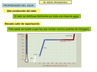 EL AGUA (Ampliación)
PROPIEDADES DEL AGUA

  Alta conducción del calor

        El calor se distribuye fácilmente por toda una masa de agua


 Elevado calor de vaporización

    Para pasar de líquido a gas hay que romper muchos puentes de hidrógeno
 