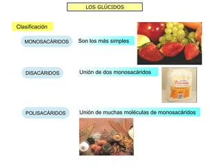 LOS GLÚCIDOS



Clasificación

   MONOSACÁRIDOS   Son los más simples




   DISACÁRIDOS     Unión de dos monosacáridos




   POLISACÁRIDOS   Unión de muchas moléculas de monosacáridos
 