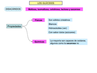 LOS GLÚCIDOS

DISACÁRIDOS    Maltosa, isomaltosa, celobiosa, lactosa y sacarosa




                     Físicas      Son sólidos cristalinos
                                  Blancos
 Propiedades
                                  Hidrosolubles (ver)
                                  Con sabor dulce (azúcares)


                                    La mayoría son capaces de oxidarse,
                     Químicas
                                    algunos como la sacarosa no
 