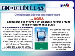 BIOMOLÉCULAS

    Explica por que motivo num ambiente natural é muito
                 difícil encontrar água pura?
  No sangue, por exemplo,            Por ser uma molécula
várias substâncias - como sais          polar, aumenta a
minerais, vitaminas, açucares,         facilidade com que
entre outras -são transportadas       outras substâncias se
      dissolvidas na água.               misturam nela!!
Nas plantas, os sais minerais         (rapidamente se geram
    dissolvidos na água são              pontes de hidrogénio
 levados das raízes às folhas.         entre a água e aquelas
                                             substâncias)
 