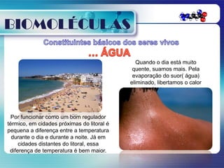 BIOMOLÉCULAS

                                               Quando o dia está muito
                                             quente, suamos mais. Pela
                                             evaporação do suor( água)
                                            eliminado, libertamos o calor
                                                excedente no corpo...



  Por funcionar como um bom regulador
térmico, em cidades próximas do litoral é
pequena a diferença entre a temperatura
  durante o dia e durante a noite. Já em
     cidades distantes do litoral, essa
 diferença de temperatura é bem maior.
 