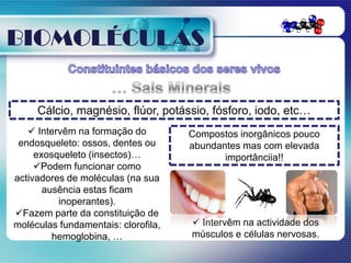 BIOMOLÉCULAS

     Cálcio, magnésio, flúor, potássio, fósforo, iodo, etc…
    Intervêm na formação do         Compostos inorgânicos pouco
 endosqueleto: ossos, dentes ou      abundantes mas com elevada
     exosqueleto (insectos)…                importânciia!!
     Podem funcionar como
activadores de moléculas (na sua
       ausência estas ficam
          inoperantes).
Fazem parte da constituição de
moléculas fundamentais: clorofila,    Intervêm na actividade dos
         hemoglobina, …              músculos e células nervosas.
 