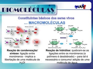 BIOMOLÉCULAS




   Reação de condensação/       Reação de hidrólise: quebram-se as
     síntese: ligação entre        ligações entre os monómeros (o
     monómeros - implica a       polímero é desdobrado) – para tal é
libertação de uma molécula de   necessário o consumo/ adição de uma
             H2O!                         molécula de água.
 