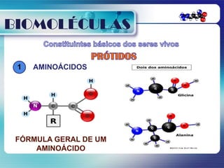 BIOMOLÉCULAS

 1   AMINOÁCIDOS




 FÓRMULA GERAL DE UM
     AMINOÁCIDO
 
