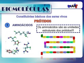 BIOMOLÉCULAS

 1   AMINOÁCIDOS
                   Os aminoácidos são as unidades
                      estruturais dos prótidos!!!
 