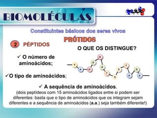 BIOMOLÉCULAS

   2     PÉPTIDOS
                                   O QUE OS DISTINGUE?
        O número de
       aminoácidos;

O tipo de aminoácidos;

                 A sequência de aminoácidos.
     (dois peptídeos com 15 aminoácidos ligados entre si podem ser
   diferentes: basta que o tipo de aminoácidos que os integram sejam
 diferentes e a sequência de aminoácidos (a.a.) seja também diferente!)
 