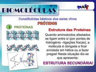 BIOMOLÉCULAS

 3   PROTEÍNAS
                   Estrutura das Proteínas
                 Quando aminoácidos afastados
                 se ligam entre si (por pontes de
                 hidrogénio –ligações fracas), a
                   molécula é obrigada a ficar
                  enrolada em hélice ou a fazer
                  pregas! Nesta situação diz-se
                         que apresenta:
 
