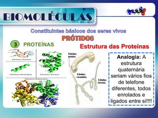 BIOMOLÉCULAS

 3   PROTEÍNAS   Estrutura das Proteínas
                               Analogia: A
                                estrutura
                               quaternária
                           seriam vários fios
                               de telefone
                            diferentes, todos
                               enrolados e
                           ligados entre si!!!!
 