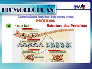 BIOMOLÉCULAS

 3   PROTEÍNAS   Estrutura das Proteínas
 