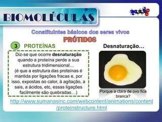 BIOMOLÉCULAS

  3    PROTEÍNAS                           Desnaturação…
    Diz-se que ocorre desnaturação
     quando a proteína perde a sua
        estrutura tridimensional…
   (é que a estrutura das proteínas é
   mantida por ligações fracas e, por
 isso, expostas ao calor, à agitação, a
   sais, a ácidos, etc, essas ligações
      facilmente são quebradas…)          Porque a clara de ovo fica
                                                  branca?
http://www.sumanasinc.com/webcontent/animations/content
                 /proteinstructure.html
 