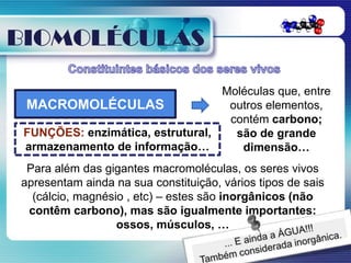 BIOMOLÉCULAS

                                  Moléculas que, entre
 MACROMOLÉCULAS                    outros elementos,
                                   contém carbono;
 FUNÇÕES: enzimática, estrutural,   são de grande
 armazenamento de informação…        dimensão…
 Para além das gigantes macromoléculas, os seres vivos
apresentam ainda na sua constituição, vários tipos de sais
  (cálcio, magnésio , etc) – estes são inorgânicos (não
 contêm carbono), mas são igualmente importantes:
                  ossos, músculos, …
 