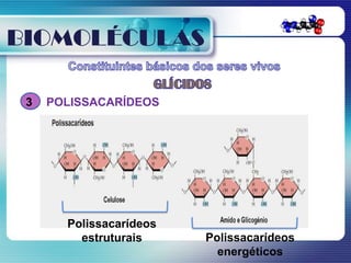 BIOMOLÉCULAS

 3   POLISSACARÍDEOS




       Polissacarídeos
         estruturais     Polissacarídeos
                           energéticos
 