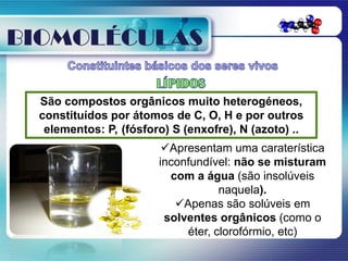 BIOMOLÉCULAS

 São compostos orgânicos muito heterogéneos,
 constituídos por átomos de C, O, H e por outros
  elementos: P, (fósforo) S (enxofre), N (azoto) ..
                        Apresentam uma caraterística
                       inconfundível: não se misturam
                         com a água (são insolúveis
                                   naquela).
                          Apenas são solúveis em
                        solventes orgânicos (como o
                            éter, clorofórmio, etc)
 