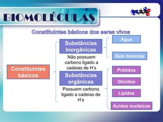 BIOMOLÉCULAS
                                          Água
                  Substâncias
                  Inorgânicas
                   Não possuem         Sais minerais
                  carbono ligado a
 Constituintes     cadeias de H’s
                                        Prótidos
   básicos        Substâncias
                   orgânicas            Glícidos
                  Possuem carbono
                 ligado a cadeias de     Lípidos
                         H’s
                                       Ácidos nucleicos
 