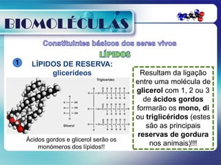 BIOMOLÉCULAS

 1     LÍPIDOS DE RESERVA:
            glicerídeos                    Resultam da ligação
                                         entre uma molécula de
                                         glicerol com 1, 2 ou 3
                                            de ácidos gordos
                                         formarão os mono, di
                                         ou triglicéridos (estes
                                             são as principais
                                          reservas de gordura
     Ácidos gordos e glicerol serão os
         monómeros dos lípidos!!
                                              nos animais)!!!
 