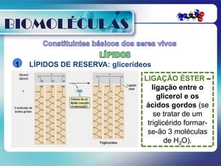 BIOMOLÉCULAS

 1   LÍPIDOS DE RESERVA: glicerídeos
                                  LIGAÇÃO ÉSTER –
                                     ligação entre o
                                       glicerol e os
                                  ácidos gordos (se
                                      se tratar de um
                                   triglicérido formar-
                                   se-ão 3 moléculas
                                          de H2O).
 