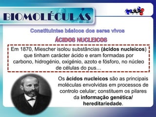 BIOMOLÉCULAS

 Em 1870, Miescher isolou substâncias (ácidos nucleicos)
      que tinham carácter ácido e eram formadas por
  carbono, hidrogénio, oxigénio, azoto e fósforo, no núcleo
                    de células do pus…

                     Os ácidos nucleicos são as principais
                     moléculas envolvidas em processos de
                     controlo celular; constituem os pilares
                           da informação genética/
                               hereditariedade.
 