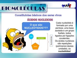 BIOMOLÉCULAS

                         Cada nucleótido é
         O que são       formado por uma
      NUCLEÓTIDOS???    pentose, uma base
                       azotada e um grupo
                           fosfato, todos
                       ligados por ligações
                             covalentes.
                       Os ácidos nucleicos
                          são repetições
                        (polímeros) destas
                            unidades, os
                           nucleótidos!
 