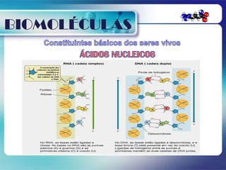 BIOMOLÉCULAS
 