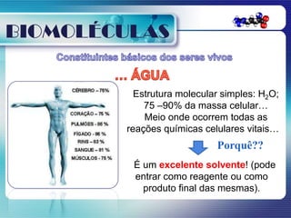 BIOMOLÉCULAS


          Estrutura molecular simples: H2O;
            75 –90% da massa celular…
            Meio onde ocorrem todas as
        reações químicas celulares vitais…
                            Porquê??
         É um excelente solvente! (pode
         entrar como reagente ou como
           produto final das mesmas).
 