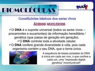 BIOMOLÉCULAS

 O DNA é o suporte universal (todos os seres vivos –
 procariontes e eucariontes) da informação hereditária /
     genética (que passa de geração em geração).
       O DNA controla toda a atividade celular.
 O DNA confere grande diversidade à vida, pois cada
    organismo contém o seu DNA, que o torna único.
                         A sequência de bases azotadas do DNA
                        é única em cada ser vivo, o que confere a
                             cada um, uma “impressão digital
                                 genética” inconfundível!!
 