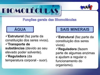 BIOMOLÉCULAS

      ÁGUA                         SAIS MINERAIS
Estrutural (faz parte da        Estrutural (faz parte da
constituição dos seres vivos).   constituição dos seres
Transporte de                   vivos).
substâncias (devido ao seu       Reguladora (fazem
elevado poder solvente).         parte de algumas enzimas
Reguladora (da                  e ajudam a regular o
temperatura corporal - suor).    funcionamento do
                                 organismo).
 