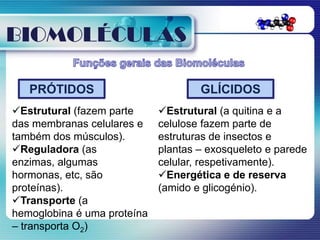 BIOMOLÉCULAS

   PRÓTIDOS                          GLÍCIDOS
Estrutural (fazem parte     Estrutural (a quitina e a
das membranas celulares e    celulose fazem parte de
também dos músculos).        estruturas de insectos e
Reguladora (as              plantas – exosqueleto e parede
enzimas, algumas             celular, respetivamente).
hormonas, etc, são           Energética e de reserva
proteínas).                  (amido e glicogénio).
Transporte (a
hemoglobina é uma proteína
– transporta O2)
 