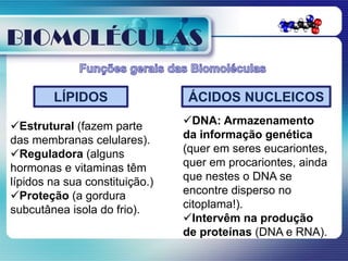 BIOMOLÉCULAS

        LÍPIDOS                  ÁCIDOS NUCLEICOS

Estrutural (fazem parte        DNA: Armazenamento
das membranas celulares).       da informação genética
Reguladora (alguns             (quer em seres eucariontes,
hormonas e vitaminas têm        quer em procariontes, ainda
lípidos na sua constituição.)   que nestes o DNA se
Proteção (a gordura            encontre disperso no
subcutânea isola do frio).      citoplama!).
                                Intervêm na produção
                                de proteínas (DNA e RNA).
 