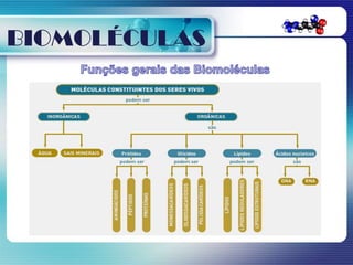 BIOMOLÉCULAS
 