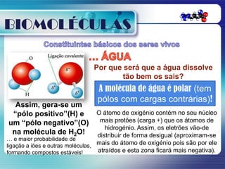 BIOMOLÉCULAS

                                Por que será que a água dissolve
                                        tão bem os sais?
                                 A molécula de água é polar (tem
                                 pólos com cargas contrárias)!
  Assim, gera-se um
 “pólo positivo”(H) e              O átomo de oxigénio contém no seu núcleo
um “pólo negativo”(O)               mais protões (carga +) que os átomos de
                                      hidrogénio. Assim, os eletrões vão-de
 na molécula de H2O!               distribuir de forma desigual (aproximam-se
… e maior probabilidade de
ligação a iões e outras moléculas, mais do átomo de oxigénio pois são por ele
formando compostos estáveis!       atraídos e esta zona ficará mais negativa).
 