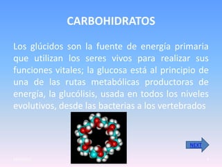 CARBOHIDRATOS
Los glúcidos son la fuente de energía primaria
que utilizan los seres vivos para realizar sus
funciones vitales; la glucosa está al principio de
una de las rutas metabólicas productoras de
energía, la glucólisis, usada en todos los niveles
evolutivos, desde las bacterias a los vertebrados


                                             NEXT

23/05/2012                                          4
 
