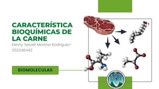 BIOMOLECULAS
CARACTERÍSTICA
BIOQUÍMICAS DE
LA CARNE
Kenny Yesaél Moreno Rodriguez-
202246442
 