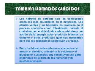TAMBIÉN LLAMADOS GLÚCIDOS
 Los hidratos de carbono son los compuestos
orgánicos más abundantes en la naturaleza. Las
plantas verdes y las bacterias los producen en el
proceso conocido como fotosíntesis, durante el
cual absorben el dióxido de carbono del aire y por
acción de la energía solar producen hidratos de
carbono y otros productos químicos necesarios
para que los organismos sobrevivan y crezcan.
 Entre los hidratos de carbono se encuentran el
azúcar, el almidón, la dextrina, la celulosa y el
glucógeno, sustancias que constituyen una parte
importante de la dieta de los humanos y de
muchos animales.
 