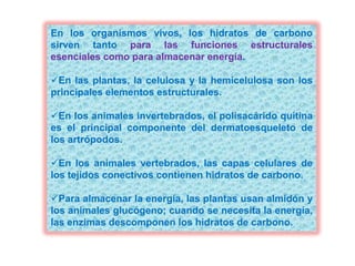 En los organismos vivos, los hidratos de carbono
sirven tanto para las funciones estructurales
esenciales como para almacenar energía.
En las plantas, la celulosa y la hemicelulosa son los
principales elementos estructurales.
En los animales invertebrados, el polisacárido quitina
es el principal componente del dermatoesqueleto de
los artrópodos.
En los animales vertebrados, las capas celulares de
los tejidos conectivos contienen hidratos de carbono.
Para almacenar la energía, las plantas usan almidón y
los animales glucógeno; cuando se necesita la energía,
las enzimas descomponen los hidratos de carbono.
 