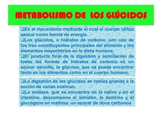METABOLISMO DE LOS GLÚCIDOS
Es el mecanismo mediante el cual el cuerpo utiliza
azúcar como fuente de energía.
Los glúcidos, o hidratos de carbono, son uno de
los tres constituyentes principales del alimento y los
elementos mayoritarios en la dieta humana.
El producto final de la digestión y asimilación de
todas las formas de hidratos de carbono es un
azúcar sencillo, la glucosa, que se puede encontrar
tanto en los alimentos como en el cuerpo humano.
La digestión de los glúcidos se realiza gracias a la
acción de varias enzimas.
La amilasa, que se encuentra en la saliva y en el
intestino, descompone el almidón, la dextrina y el
glucógeno en maltosa, un azúcar de doce carbonos
 