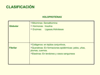 <ul><li>CLASIFICACIÓN </li></ul>HOLOPROTEÍNAS Globular <ul><li>Albúminas: Seroalbúmina </li></ul><ul><li>Hormonas:  Insuli...