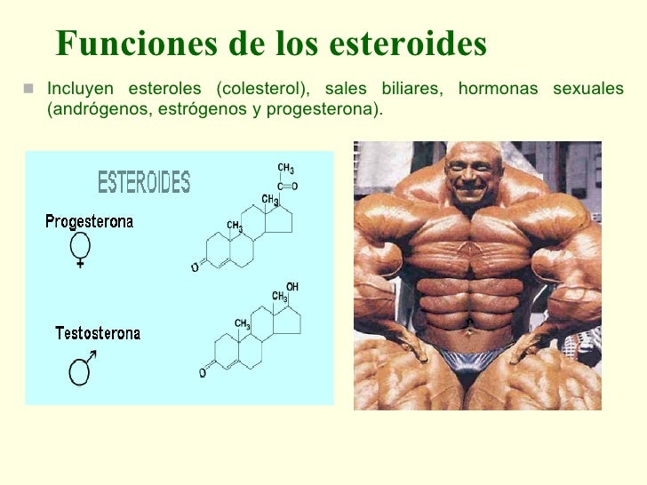 Los medios públicos a la caída de los cabello y la alopecia