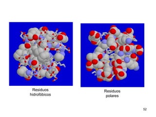 52
Residuos
hidrofóbicos
Residuos
polares
 