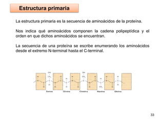 La estructura secundaria es la disposición de la secuencia de
aminoácidos o estructura primaria en el espacio.
Los aminoác...