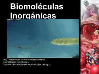 Biomoléculas
Inorgánicas
Obj: Comprender las características de las
Biomoléculas Inorgánicas.
Conocer las caracteristicas principales del agua
 