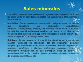 Sales minerales
 Las sales minerales son moléculas inorgánicas que aparecen en todos
los seres vivos en cantidades variables (no superiores al 5%). Aparecen
de dos formas:
•

Insolubles. Se encuentran en estado sólido originando un precipitado
que
constituye
las
estructuras
esqueléticas
(conchas, caparazones, huesos) de muchos seres vivos. Las más
importantes son el carbonato cálcico que forma la concha de los
moluscos, el fosfato cálcico que forma los huesos y la sílice (SiO2) que
forma el caparazón de las algas diatomeas.

•

Solubles. Se encuentran en forma iónica disueltas en agua, donde
realizan funciones de regulación del pH originando sistemas
tampón, que mantienen el equilibrio ácido-base. También regulan los
procesos osmóticos y algunos fenómenos biológicos como: la
contracción muscular (en la que participan iones de calcio), la
transmisión del impulso nervioso (iones de sodio y potasio), activación
de procesos enzimáticos, etc.

 